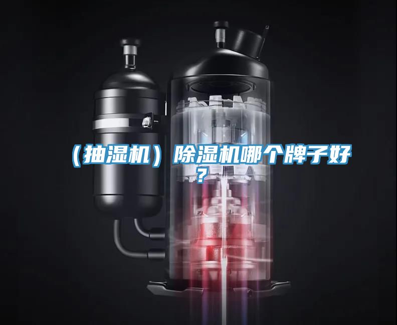 (抽濕機)除濕機哪個牌子好?